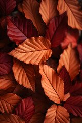 Fototapeta premium Background of brown autumn leaves