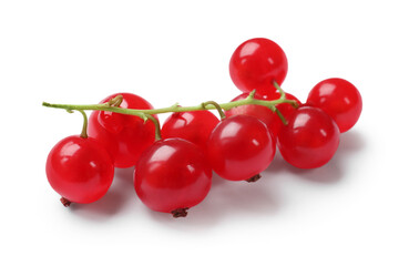 Fresh ripe red currants isolated on white