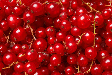 Fresh ripe red currants as background, top view