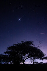 Naklejka premium Meteor shower