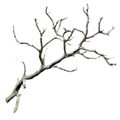 Isolated image of a dry, bare tree branch against a white background, perfect for use in nature or environmental themes.