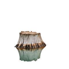 A serene image of a tree stump reflected perfectly in calm water, symbolizing nature's cycle and tranquility. Ideal for eco and nature themes.