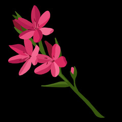 pink flower