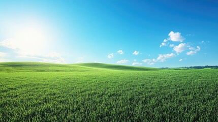 Obraz premium A wide field of lush green grass under a clear blue sky, with gentle rolling hills and ample copy space, perfect for themes of nature and tranquility.