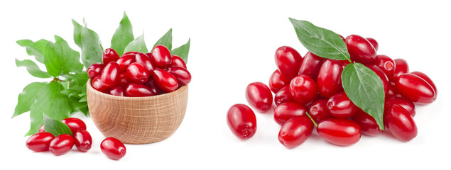 dogwood berry with leaf in a wooden bowl isolated on white background