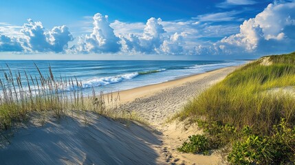 North Carolina Dune Erosion. Coastal Control of Atlantic Banks at Bright Blue Beach in Corolla