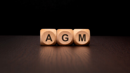 AGM Blocks Set on a Dark Surface An Insight into the Concept of Corporate Meetings