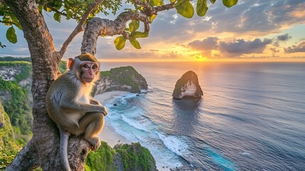 Monkey in the tree. Animals in the wild. Sunset and seascape in the background