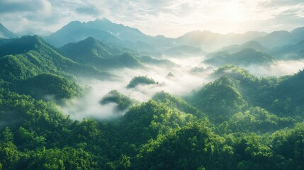 Obraz premium An aerial view of a mountain range covered in dense forest, with mist rising from the valleys and peaks piercing through the clouds.