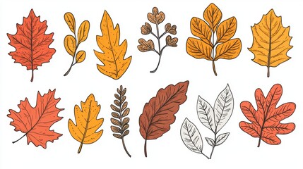 Fototapeta premium fall leaf doodles, enhance your fall-themed artwork with this charming collection of autumn leaf doodles on a white background perfect for adding a touch of whimsy