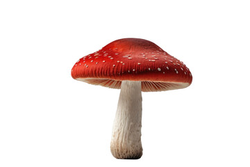 Single red mushroom, cap centered, stalk slightly off-center, isolated on a stark white background, minimalist composition, studio lighting, shadow beneath for depth