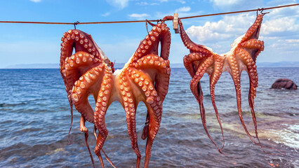 greece lesbos island sikaminea village images sun dried octopuses small chapel and beach area