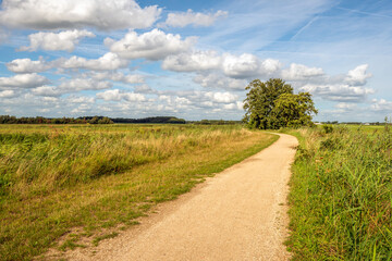 Bend in an unpaved cycle and walking path in a Dutch nature reserve. The photo was taken on a beautiful summer day with white cumulus clouds in the blue sky.