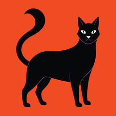 Fototapeta premium black and white cat