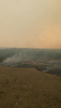 Apu&iacute;, Amazonas: Imagens A&eacute;reas Exclusivas das Queimadas que Lideram o Desmatamento na Amaz&ocirc;nia em 2024 &ndash; Capturadas por Drones, Revelando a Devasta&ccedil;&atilde;o e Impactos Ambientais