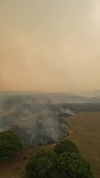 Apu&iacute;, Amazonas: Imagens A&eacute;reas Exclusivas das Queimadas que Lideram o Desmatamento na Amaz&ocirc;nia em 2024 &ndash; Capturadas por Drones, Revelando a Devasta&ccedil;&atilde;o e Impactos Ambientais