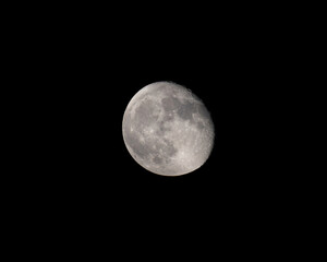 Obraz premium full moon