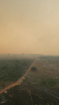 Apu&iacute;, Amazonas: Imagens A&eacute;reas Exclusivas das Queimadas que Lideram o Desmatamento na Amaz&ocirc;nia em 2024 &ndash; Capturadas por Drones, Revelando a Devasta&ccedil;&atilde;o e Impactos Ambientais