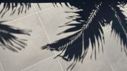 Shadow of Palm Leaves on Tiled Floor, Tropical Poolside Vibes