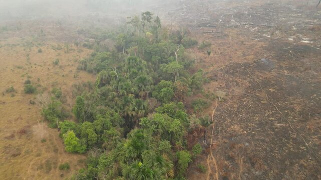Apu&iacute;, Amazonas: Imagens A&eacute;reas Exclusivas das Queimadas que Lideram o Desmatamento na Amaz&ocirc;nia em 2024 &ndash; Capturadas por Drones, Revelando a Devasta&ccedil;&atilde;o e Impactos Ambientais