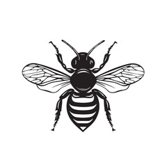 Fototapeta premium Bee in cartoon, doodle style . Image for t-shirt, web, mobile apps and ui. Isolated 2d vector illustration in logo, icon, sketch style, Eps 10, black and white. AI Generative