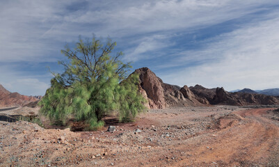 Landscape scenic view of Eastern desert of Egypt.