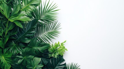 Obraz premium tropical greenery, calm greenery against white creates a harmonious mix of nature and minimalism, evoking a sense of tranquility in a tropical setting