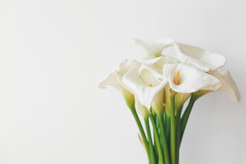 delicate beautiful bouquet of white calla lilies on a white background, place for your text