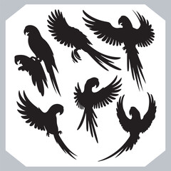 Obraz premium Parrot silhouette vector art illustration, bird parrot logo tropical bird logo icon