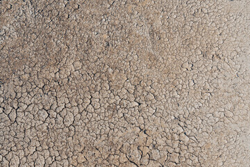 Cracked clay bottom of a dried-up lake (close-up). Concept of the problem of climate change, drought and drying up of water bodies