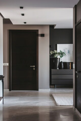 Minimalist showcasing streamlined, clutter-free home