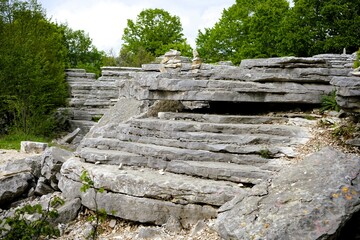 Smooth, curved and rough rock formations surrounded by thick green shrubs and trees in the stone forest the vikos gorge in greece, stone garden