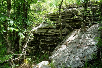 Smooth, curved and rough rock formations surrounded by thick green shrubs and trees in the stone forest the vikos gorge in greece, stone garden