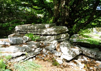 Smooth, curved and rough rock formations surrounded by thick green shrubs and trees in the stone forest the vikos gorge in greece, stone garden