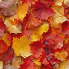 Fototapeta premium Close-up of a small leaf wall in autumn, warm reds, and golden yellows, intricate textures, perfect for capturing the essence of fall.