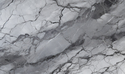 Obraz premium Abstract marble texture with intricate black and white veining