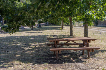 Obraz premium Picnic table under trees inviting to relaxing break