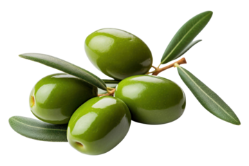 PNG Olives plant food leaf.