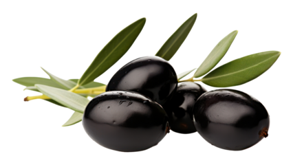 PNG Olives plant food invertebrate.