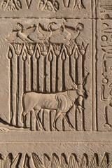 A Bas Relief at Karnak Temple complex. Luxor. Egypt.