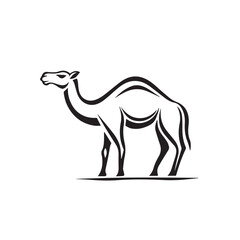 camel in cartoon, doodle style . Image for t-shirt, web, mobile apps and ui. Isolated 2d vector illustration in logo, icon, sketch style, Eps 10, black and white. AI Generative