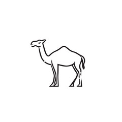 camel in cartoon, doodle style . Image for t-shirt, web, mobile apps and ui. Isolated 2d vector illustration in logo, icon, sketch style, Eps 10, black and white. AI Generative