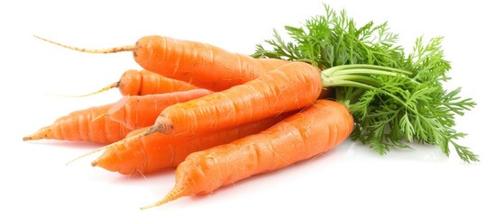 Carrots On A White Background