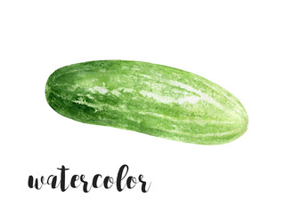 A Vibrant Watercolor Illustration of Cucumbers Surrounded by Flowers and Lush Leaves