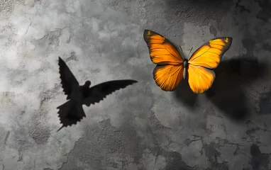 Fotobehang  Butterfly casting shadow of an eagle on a grey background  concept change or transformation  © ammad