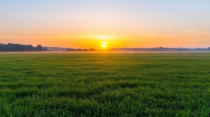 Obraz premium Scenic countryside with mist and sunrise, Monday morning, calm and refreshing