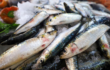 Sardinhas frescas numa banca de uma peixaria em Portugal 