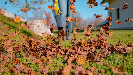 CLOSE UP, DOF: Clearing and blowing fallen autumn leaves with a portable leaf blower. Dry fallen...