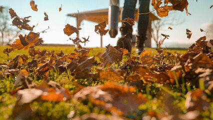 LENS FLARE, DOF: Woman clearing autumn leaves from the garden with an electric and portable leaf...
