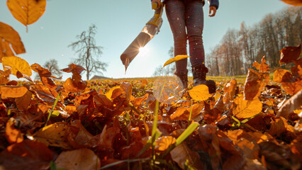 LOW ANGLE VIEW, LENS FLARE, DOF: Colorful fallen leaves blown by a leaf blower. A scattering of flying autumn foliage with an unrecognizable woman using a portable gardening device in the background.